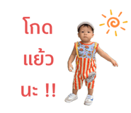 495755214