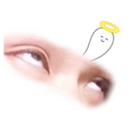 495799803