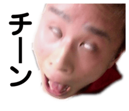 495799816