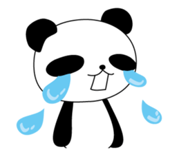4958067