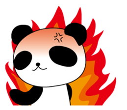 4958069