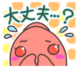 495831414
