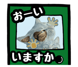 495835090