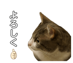 495861738