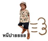495950803