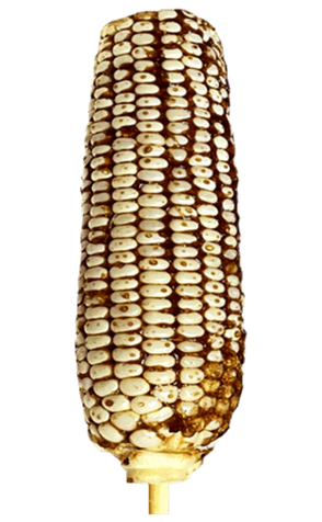 495982393