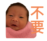 495999149