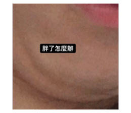 495999370