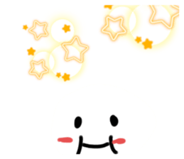 496003325