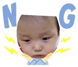 496004011