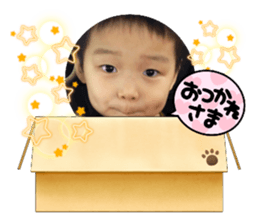 496004031