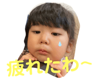 496019908