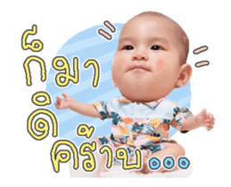 496026350