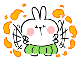 49603047