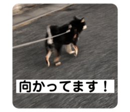 496044302