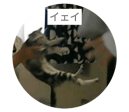 496056897