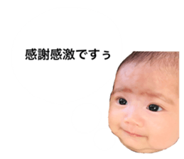 496067656