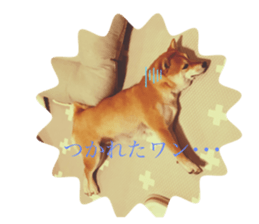 496092528
