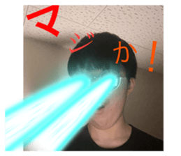 496114391