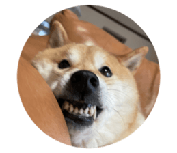 496121455