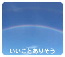 496198061