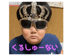 496283773