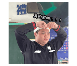 496301393