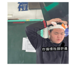 496301395