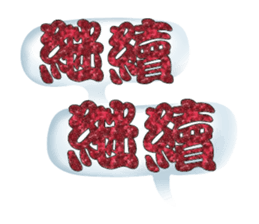 496307529