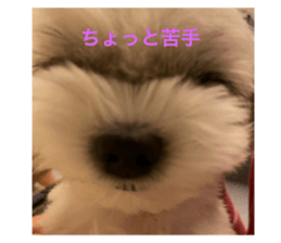 496353835