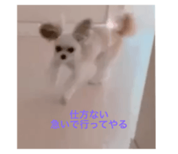 496353841