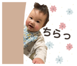 496383067