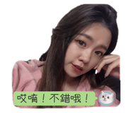 496396155