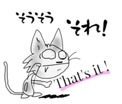 4964088
