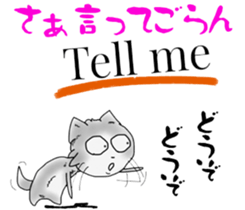 4964100