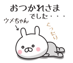 496416911