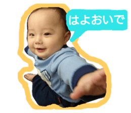 49643537