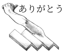 496457311