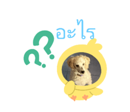 496462069
