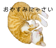 496486784