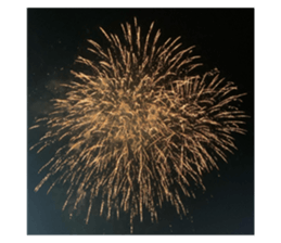 496496784