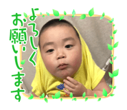 496516880
