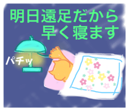 496530388