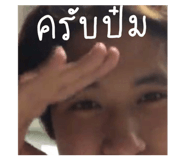 496531161