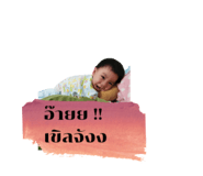 496533912