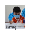 496533925