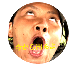 49655297