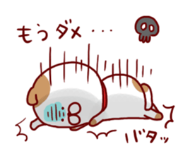 4965699