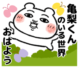496570167