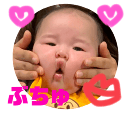 496577420